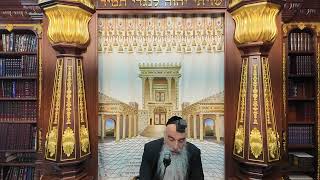 הרב מאיר דוד שמואלי - הלכות יום הכיפורים סימן תר"ד - תר"ח