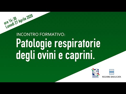 , title : 'Patologie respiratorie degli ovini e caprini'