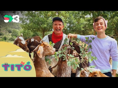 Excursió a la muntanya | Titó