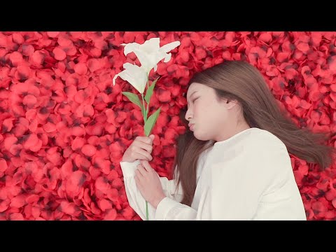 社会学科 『トラジック・ヒーロー』（C班）関西大学社会学部メディア専攻音楽映像制作実習2021年度