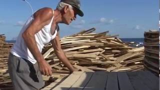 Thumbnail del capítulo