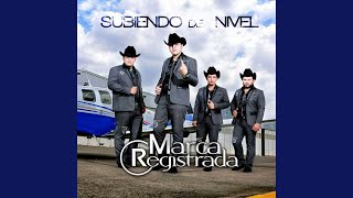 Tu No Eres Lo Que Quería Lyrics English Translation
