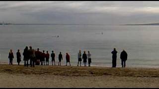 preview picture of video 'Orca in St Heliers 24 June 2009 9.30am'