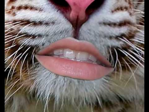 Cineplexx - Tiger Trap ft. Duglas T. Stewart (Official Video 2010)