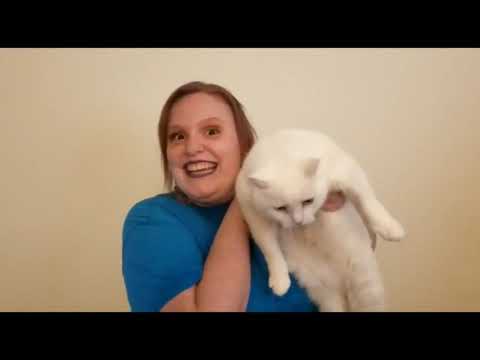 Star Trek: A Sister Parody