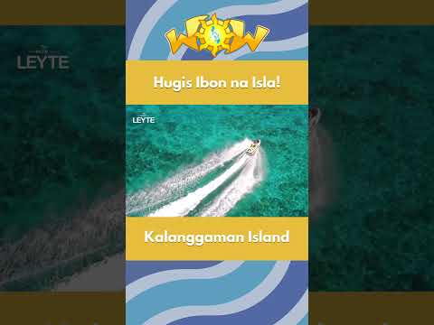 Beach trip sa Kalanggaman Island! #Wow #KnowledgeChannel #Leyte #TravelPH #shorts