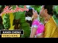 Kandi Chenu Video Song Seema Tapakai Movie Allari Naresh Poorna