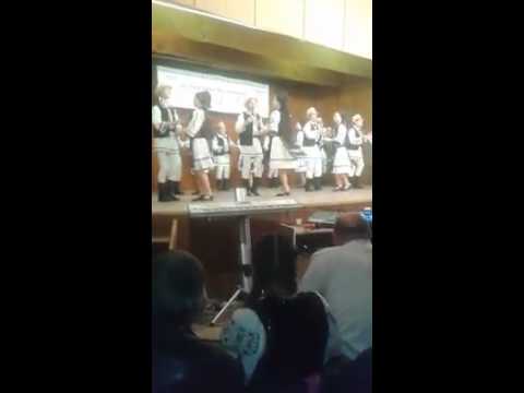 Mugurii Mintiului-Joc de Bihor