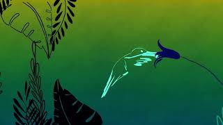 Colibri - Lora Gabriel - Album Cordulia conte musical écrit par Angéline Annonier