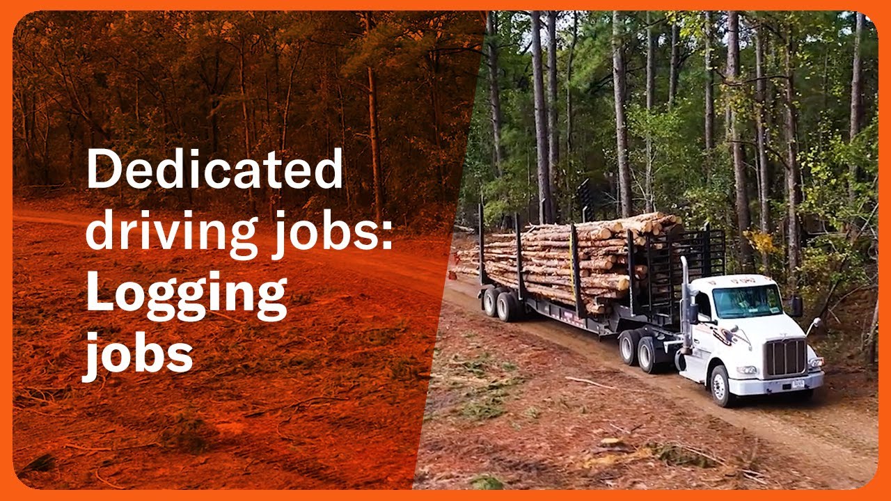 Why drivers are choosing Schneider's dedicated logging jobs