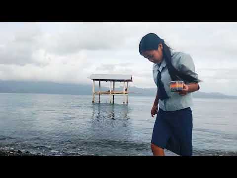 Just Roaming by the Beach 