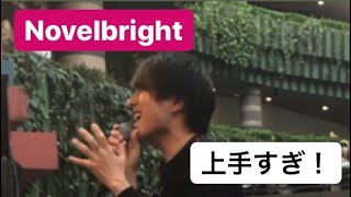[透き通った高音]walking with you /Novelbright  inキャナルシティ