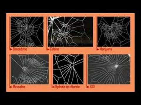 [#Hard Tek 10] Kromar - Nous voulons tout / Hard tech - Son de teuf