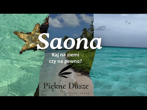 PARADISE ISLAND Saona 🇩🇴🌴 This is what a true paradise on earth looks like - but is it really? #V...