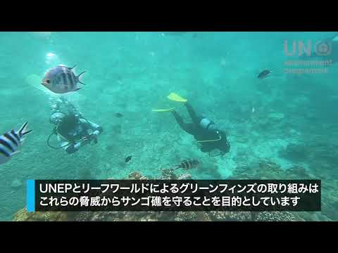 動画サムネイル