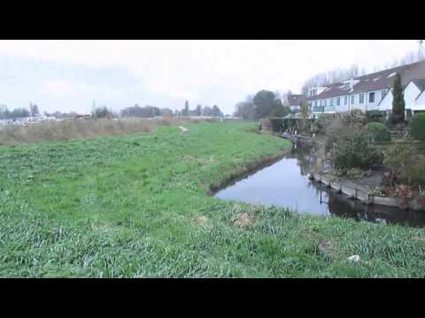 Westknollendam uitrenzone