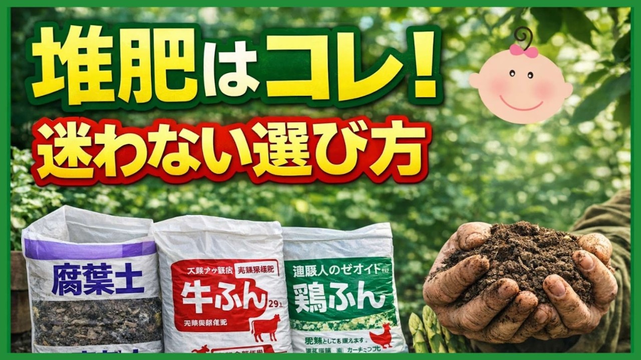 【堆肥の違いで野菜が変わる理由】9割が知らない！元気に育つ土になる正しい堆肥の選び方～初心者・家庭菜園～