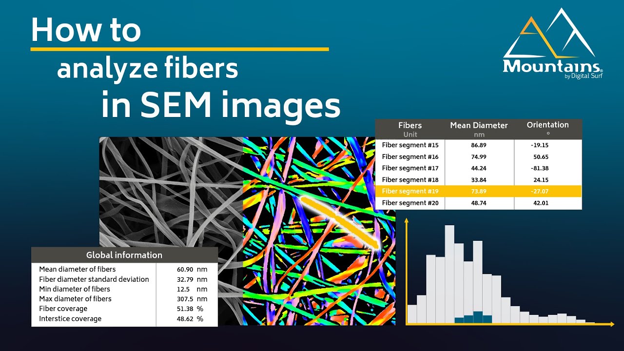 How to analyze fibers with Mountains®