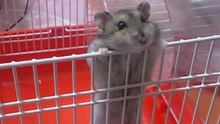 テスト