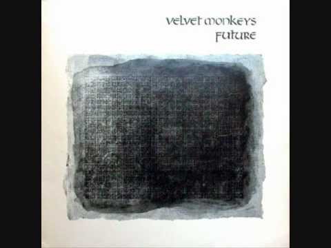 Velvet monkeys - Future