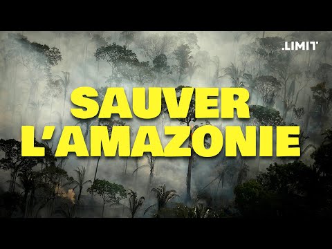 SAUVER L'AMAZONIE = SAUVER L'HUMANITÉ | LIMIT