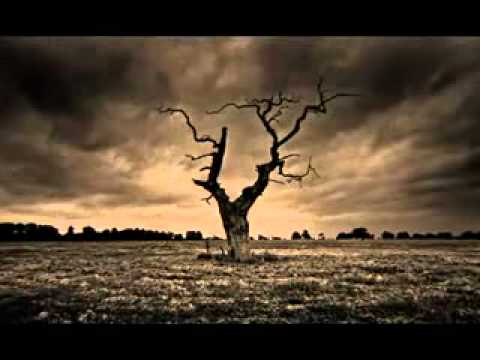 Vdekja   Ahmed Kalaja