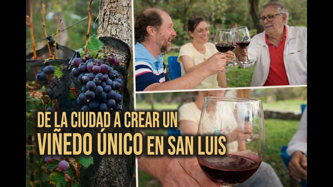 Viñedo Fraterno