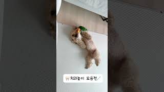 유튜브 썸네일