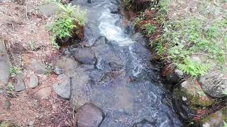 HEALING TIME in forest