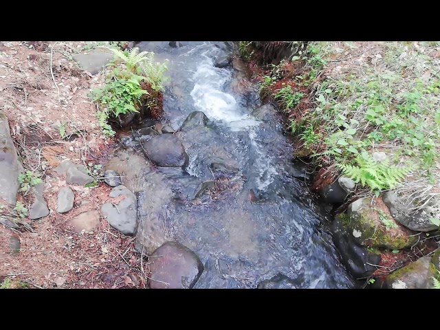 HEALING TIME in forest