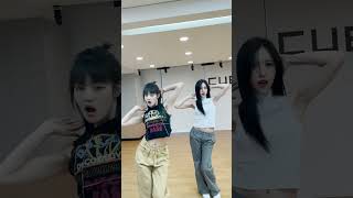 [閒聊] 舒華Minnie子瑜Mina-Queencard Dance Ch