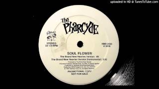 The Pharcyde - SoulFlower (The Brand New Heavies Version)
