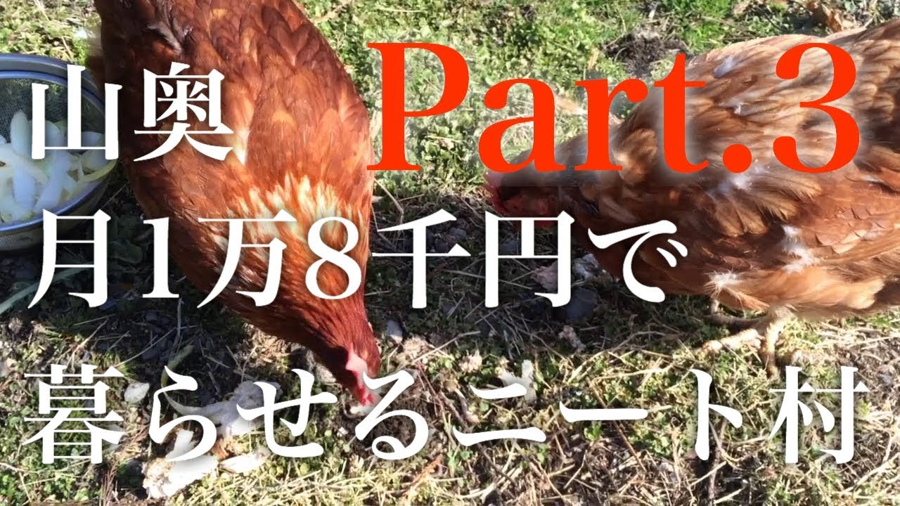 山奥で暮らす”山奥ニート達"に会いに行く Part3 (小屋暮らし開拓記24)