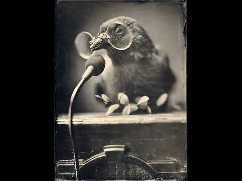 Folic State - Decode (Synister(IN) Dark Basement Remix)