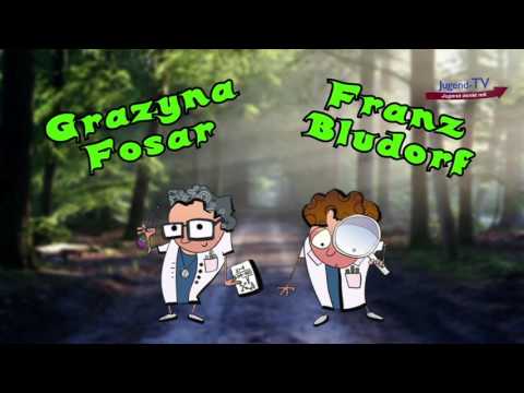 CO2 – tödlich oder hilfreich? | 26.09.2015 | www.jugend-tv.net