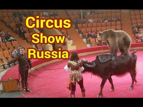 Espectáculo Acrobático Del Circo Mundial Que Tienes Que Ver