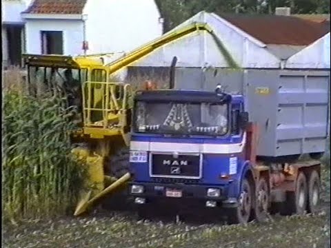 Loonw. Verhegge - Loppem - New Holland 2205