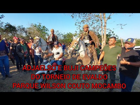 Last day of the final competition of the bull-catching tournament in the bush, organized by Evald...