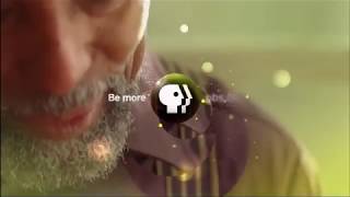 McGee Media/Inkwell Films/Kunhardt Films/Ark Media/WETA/PBS (2018)