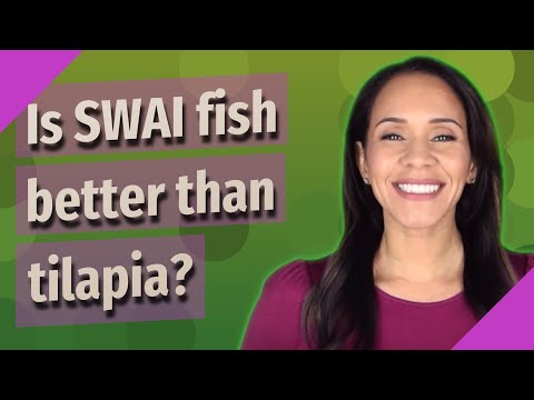 Is SWAI fish better than tilapia?