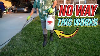 Get Rid of Lawn Disease CHEAP and EASY!
