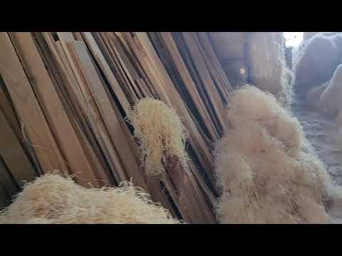 Cooler Wood Wool