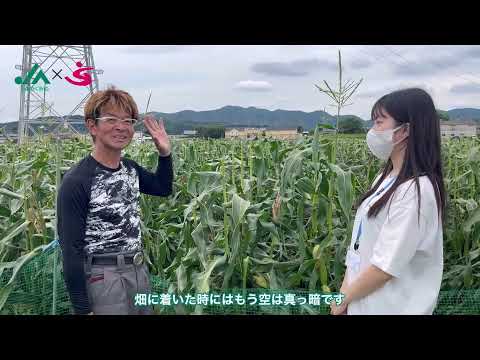 トウモロコシ（インタビュー）｜JAめぐみの×美・デザイン＆医療事務コース　産学連携授業作成動画｜中部学院大学・中部学院大学短期大学部