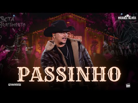 PASSINHO - Muriel Alves (Ao Vivo Em Goiânia)