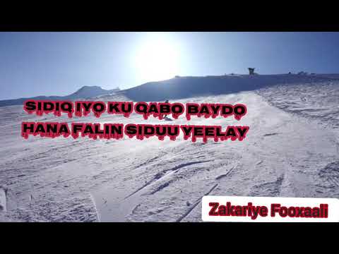 Hadraawi: Nin ku siray ha Faallaynin.