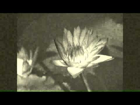 Dave Caplan (1926) - Dream Of Love And You