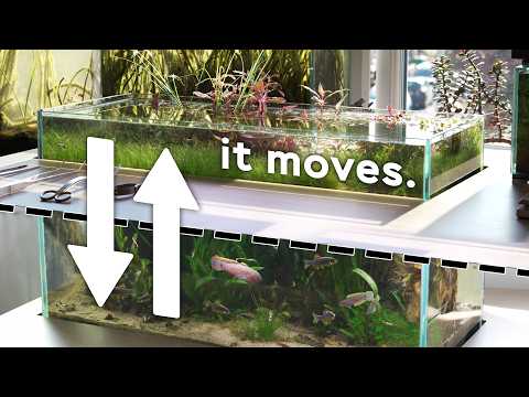 Moving Desktop Aquarium (With a Hidden Cavern)