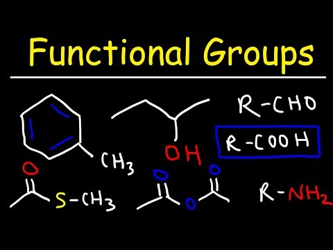 Functional Groups Video