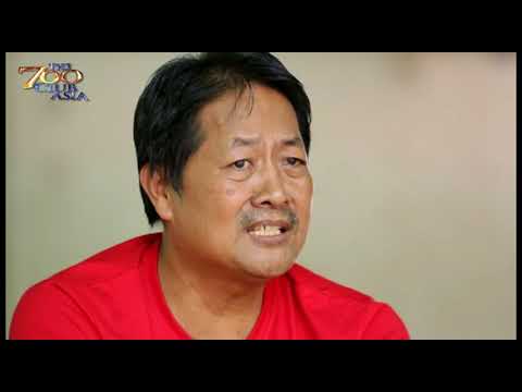 Kung ano ang pagsasanay ay kinakailangan para sa pagbaba ng timbang sa mga larawan Ang kapaki-pakinabang katangian ng mint slimming