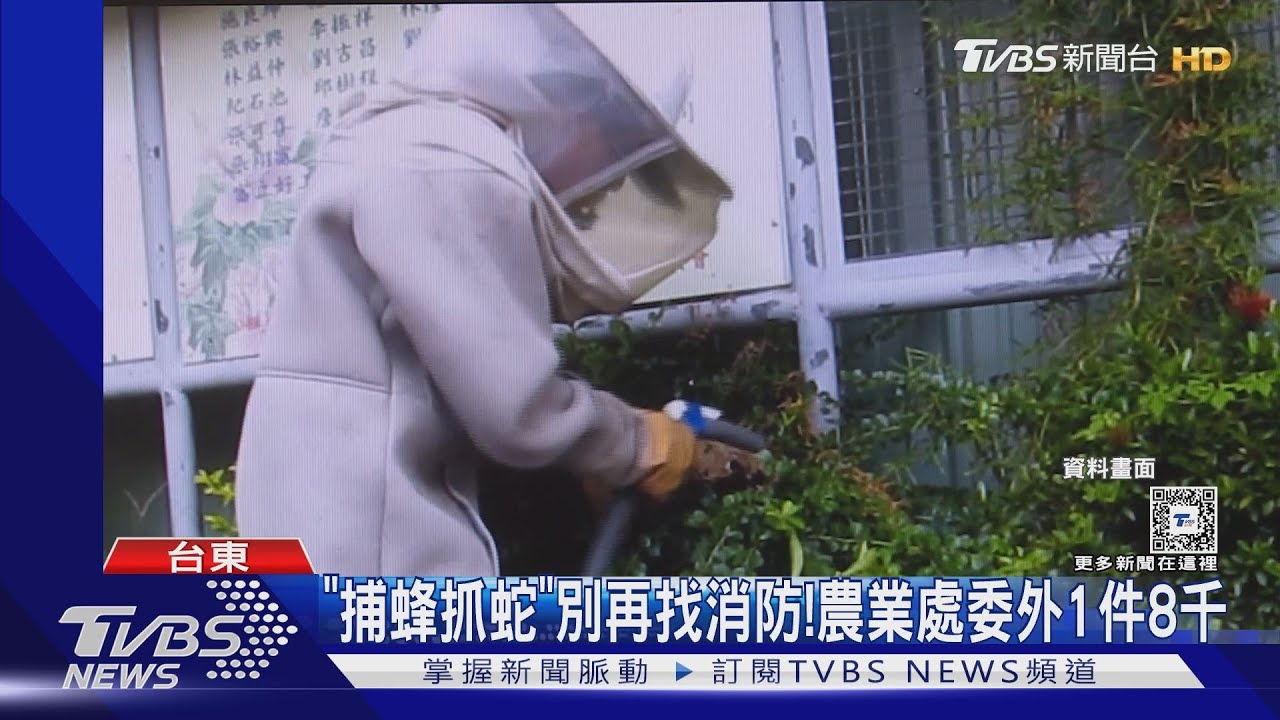 「捕蜂抓蛇」別再找消防！　農業處委外1件8千